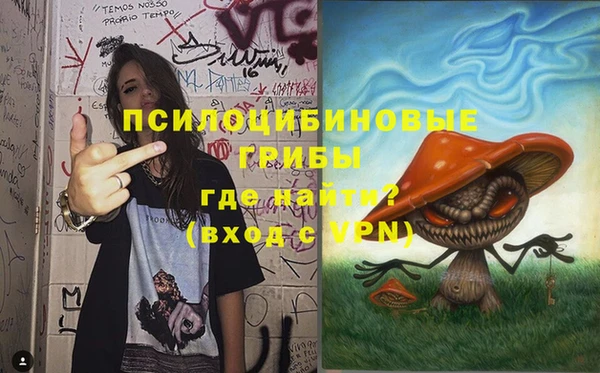 экстази Бородино